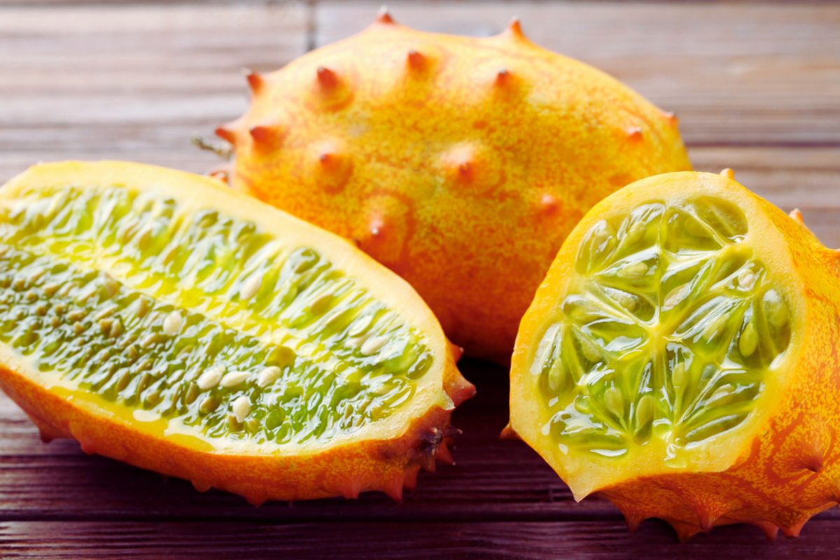 Kiwano Jelly Melon Seeds - Gakachika Variety - Cucumis metuliferus - Horned Melon & African Horned Cucumber Seeds