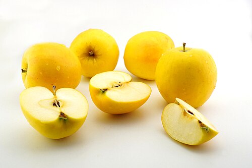 Super Rare Opal Apple Cuttings - 3 Fresh Scions for Rooting, Grafting, Malus domestica ‘Opal’, Yellow Sweet Crisp Apple