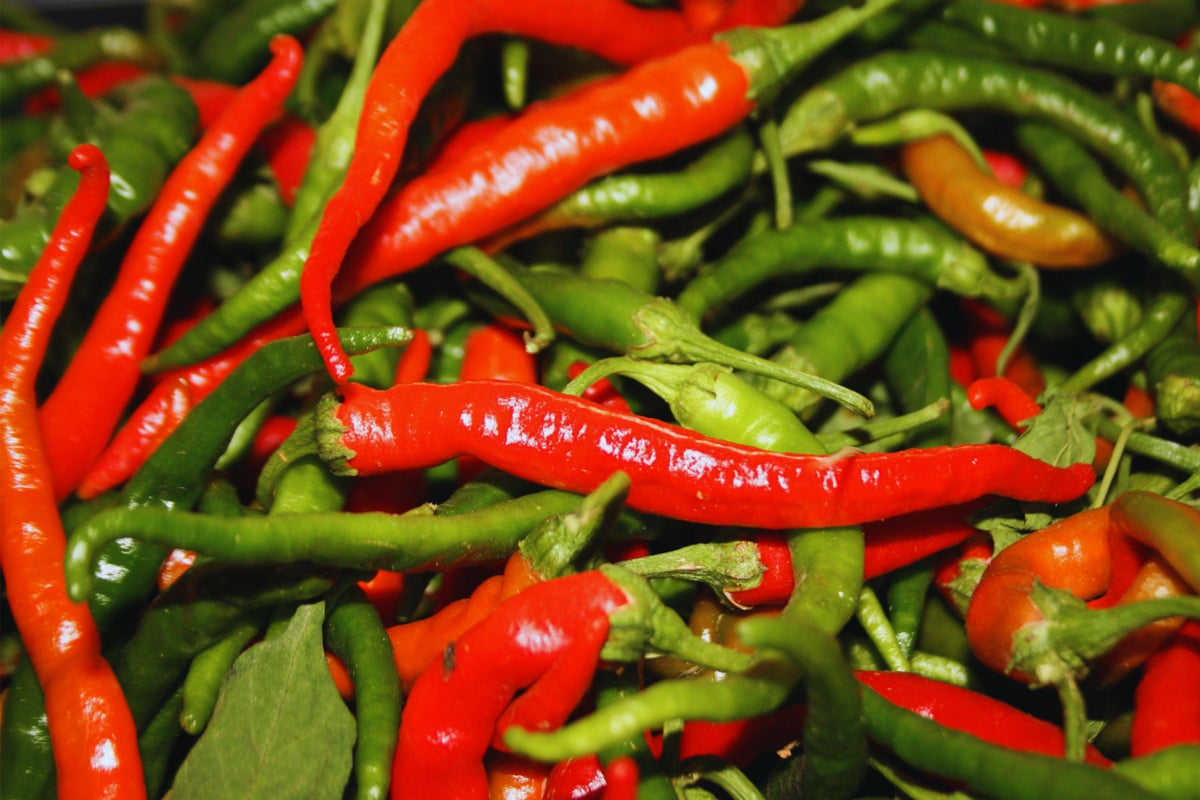 Hot Cayenne Pepper Seeds - 40+ Non-GMO Heirloom Seeds - Capsicum annuum - Perfect for Home Gardening and Culinary Use