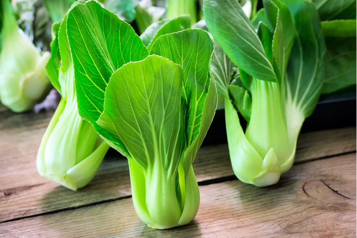 Pak Choi Seeds | Non-GMO Sweet Variety | Brassica rapa subsp. chinensis | Perfect for Stir-Fries & Salads
