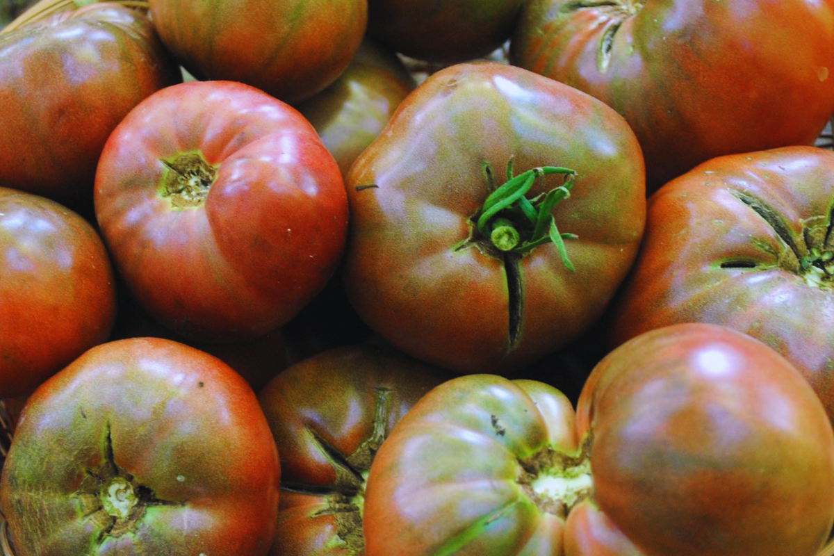 Cherokee Purple Tomato Seeds | Non-GMO Heirloom | Organic | Solanum lycopersicum | Rich Flavor, Dark Purple Color
