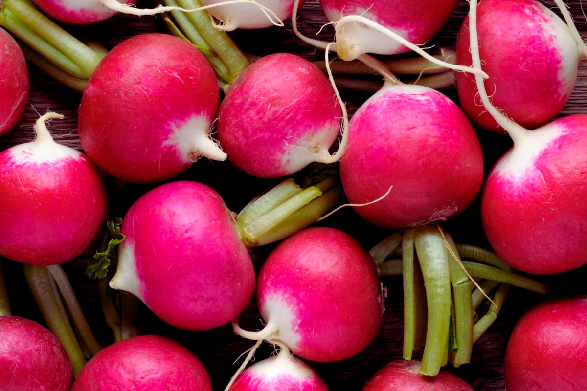 Champion Radish Seeds | Red Round Vegetable Seeds | Raphanus sativus | Fast-Growing, Easy to Grow, Ideal for Containers