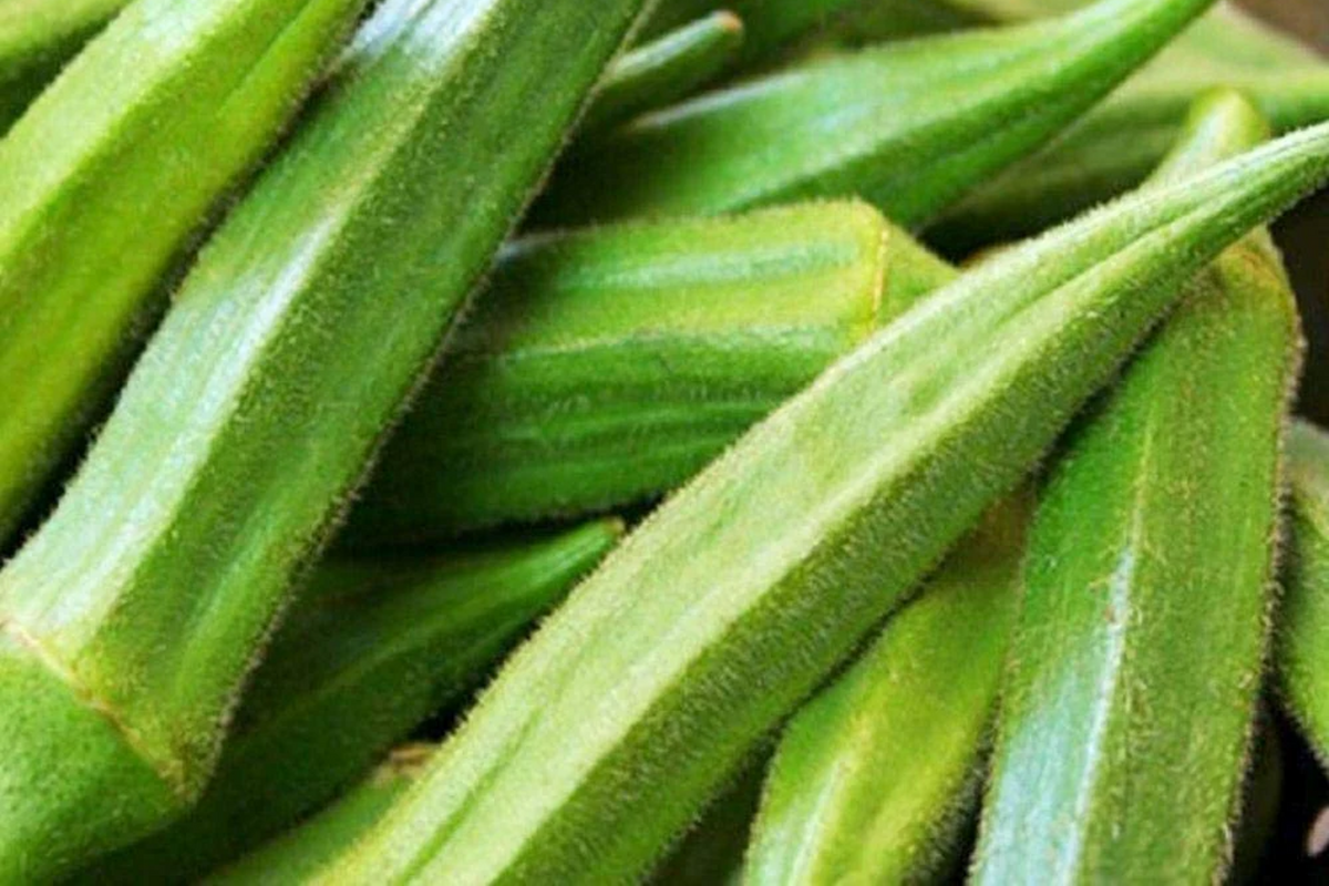 100 Emerald Okra Seeds - Heirloom Non-GMO, Fast-Growing, High-Yield, Drought-Tolerant, Abelmoschus esculentus