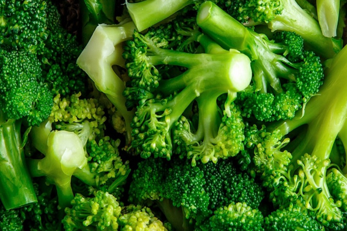 1000 Waltham 29 Broccoli Seeds - Non-GMO Heirloom, Cold Hardy, Productive - Brassica oleracea var. italica