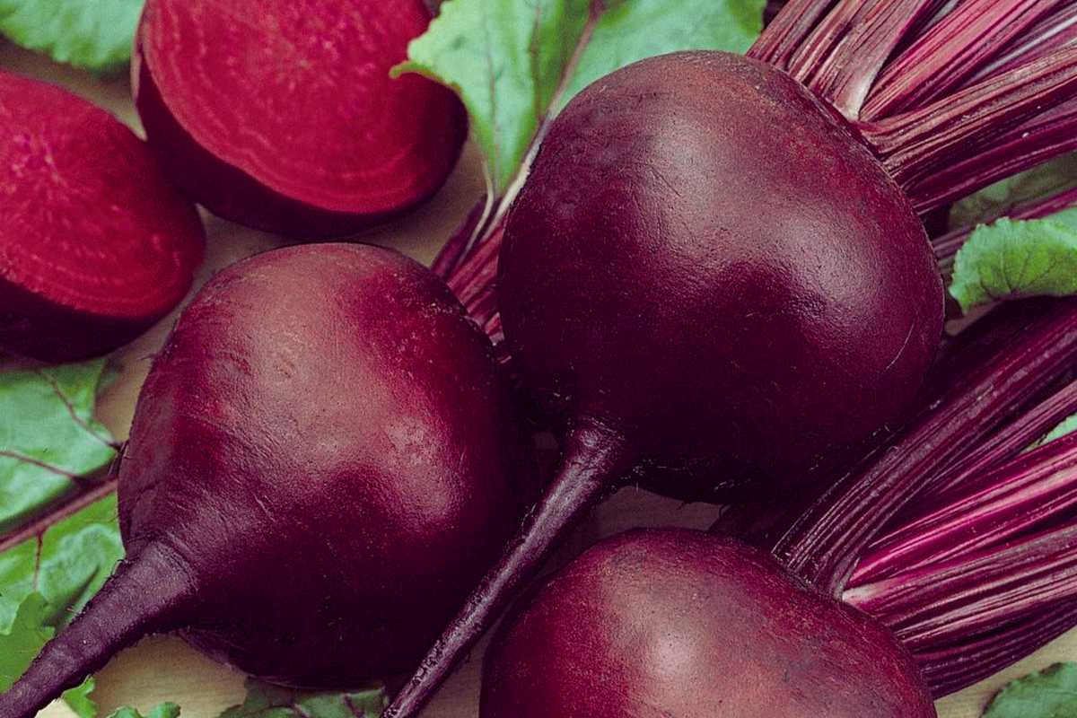 Red Beet Seeds - Non-GMO Vegetable Seeds - Beta vulgaris - 200 Seeds for Home Garden, Salad & Juicing