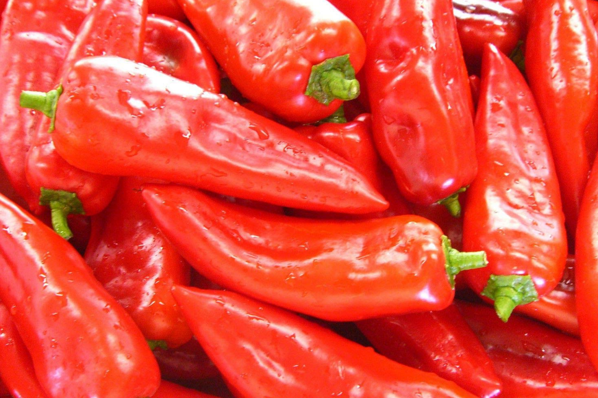 Cubanelle Sweet Pepper Seeds 250mg | Capsicum annuum | Mild & Sweet for Frying and Salads | High Yield, Easy to Grow
