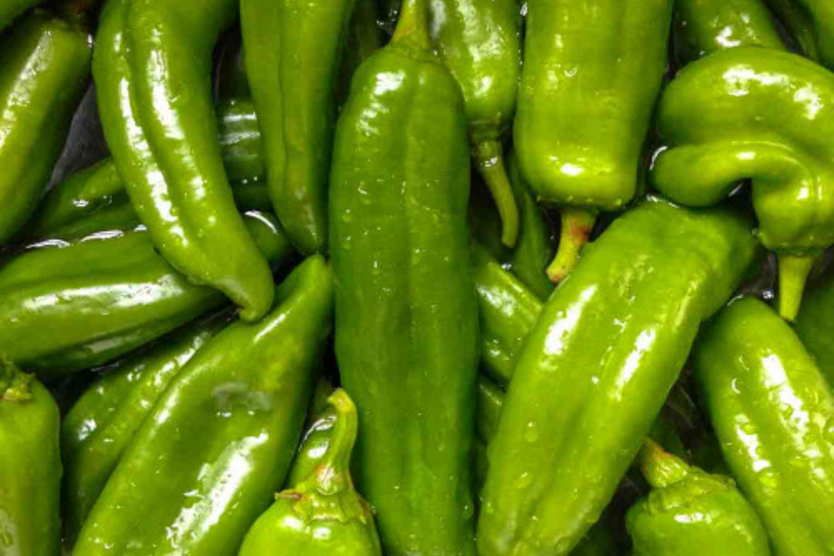 Sandia Hot Pepper Seeds 250mg - Medium-Hot Chile, Heirloom, Non-GMO, Capsicum annuum - Perfect for Roasting & Salsas