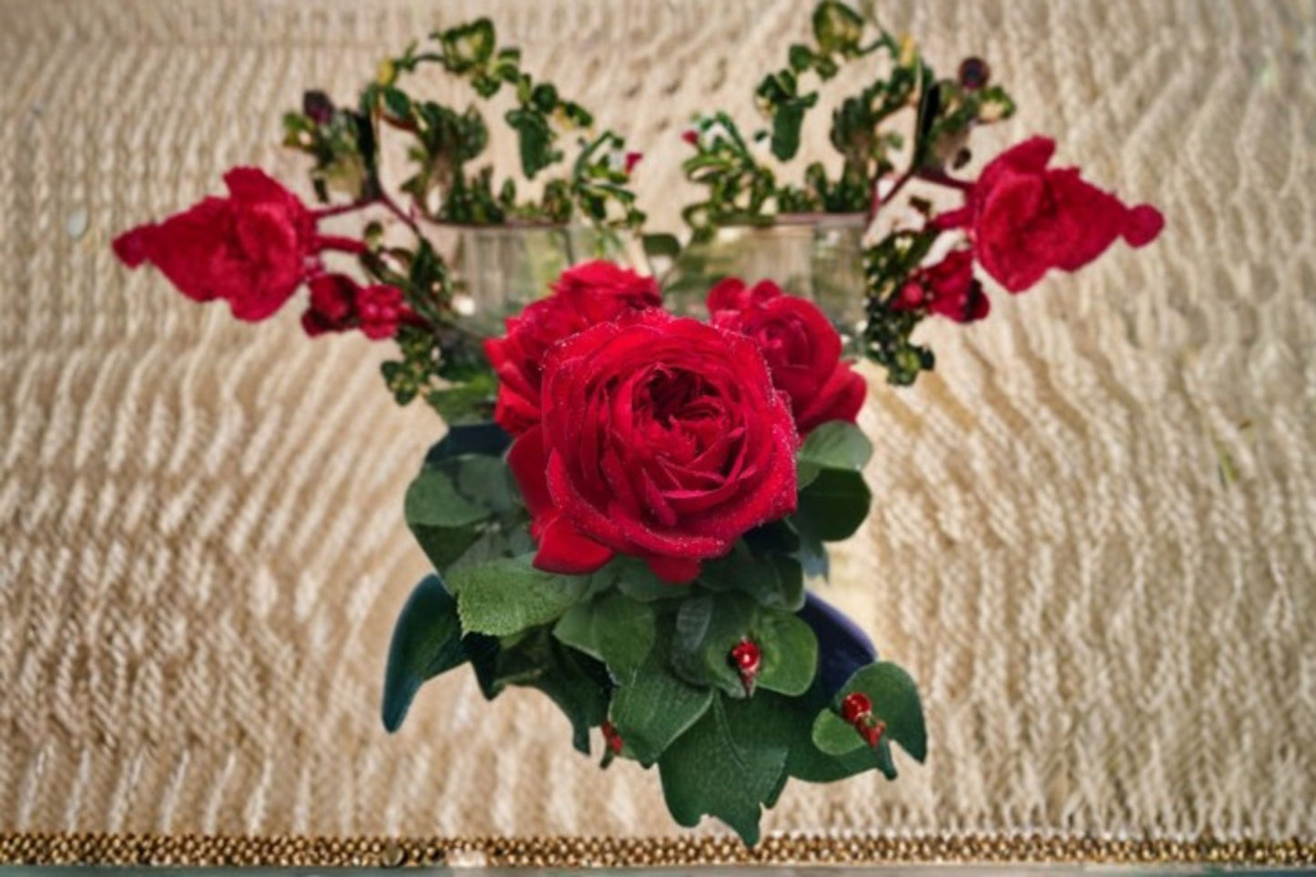 Francois Rose Live Plant - Blood Red Double Garden Rose - Rosa hybrid - Compact Shrub for Garden Beds & Containers