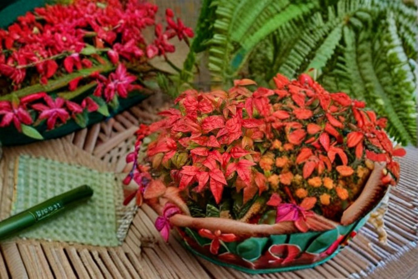 Firepower Nandina Live Shrub - Colorful Evergreen Foliage Plant - Nandina domestica 'Firepower' - Low-Maintenance Landscape Accent