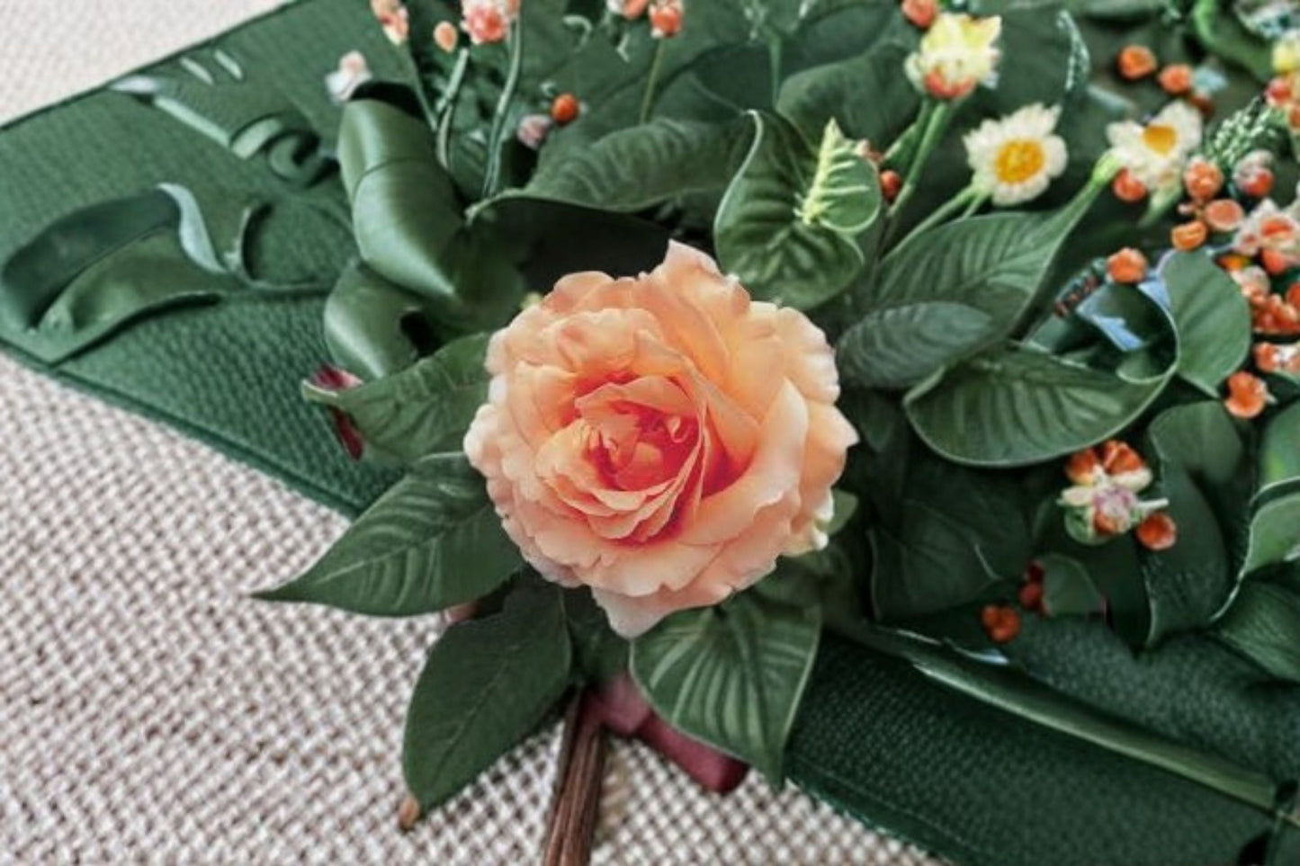 Polka Climbing Rose Live Plant 1.5 Gal Apricot Peach Rosa 'Polka' Fragrant Own-Root Climbing Rose for Trellises and Arbors