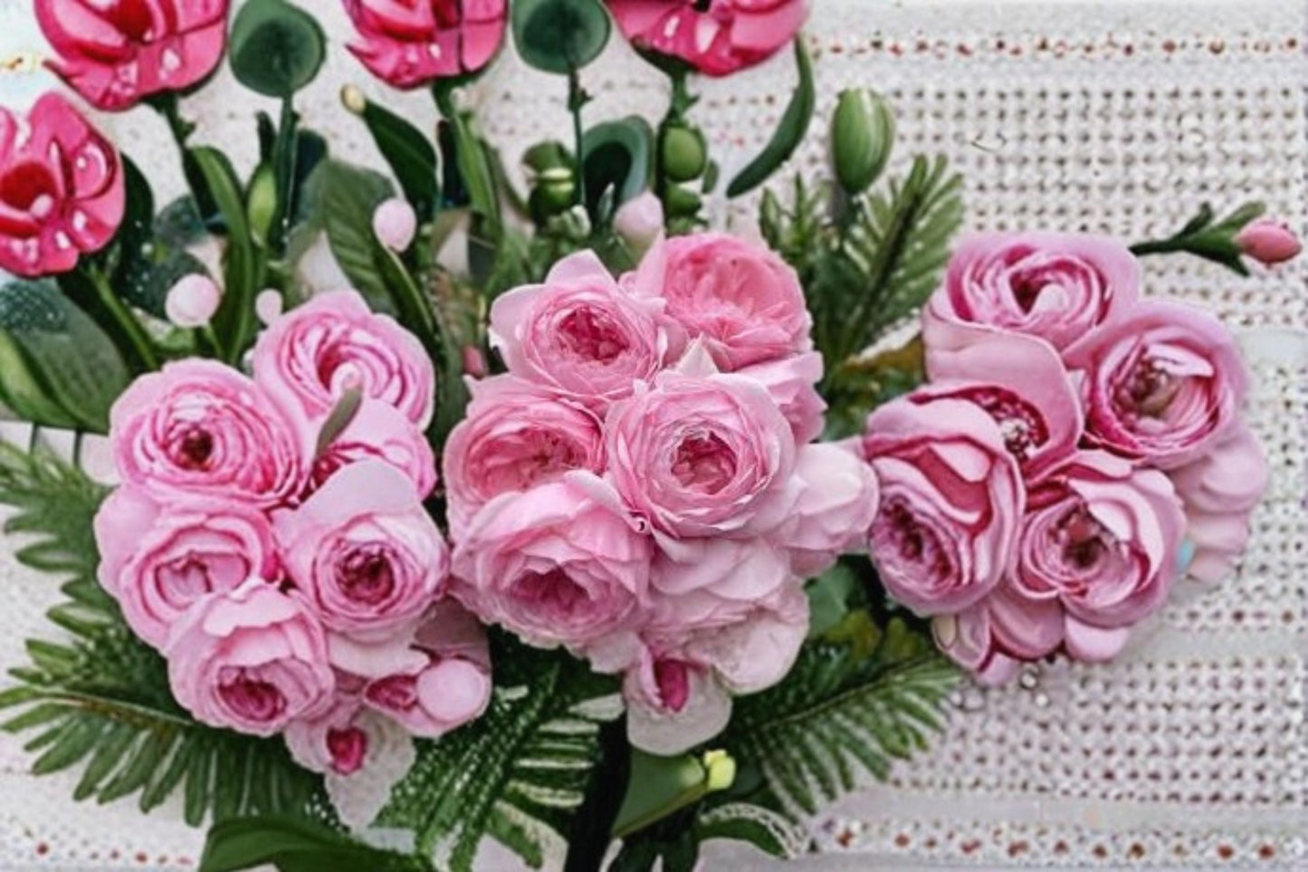 Misaki Rose Live Plant | Fragrant Japanese Cut Rose | Rosa hybrid | Large Blooms for Gardens & Floral Arrangements