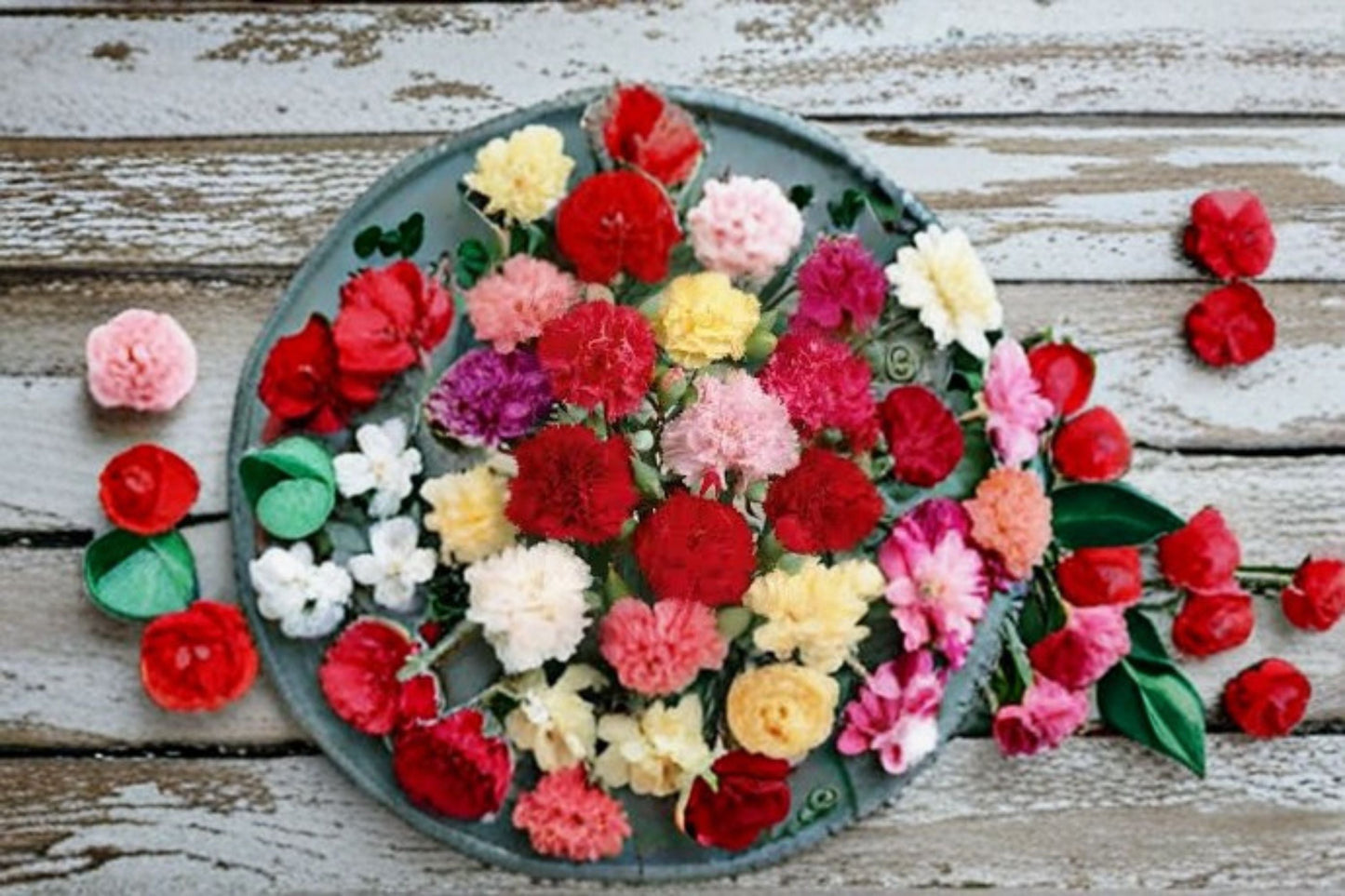 Dianthus Carnation Plant - Starter Plug - Compact Flowering Perennial - Dianthus spp. - Full Sun Garden & Container Plant