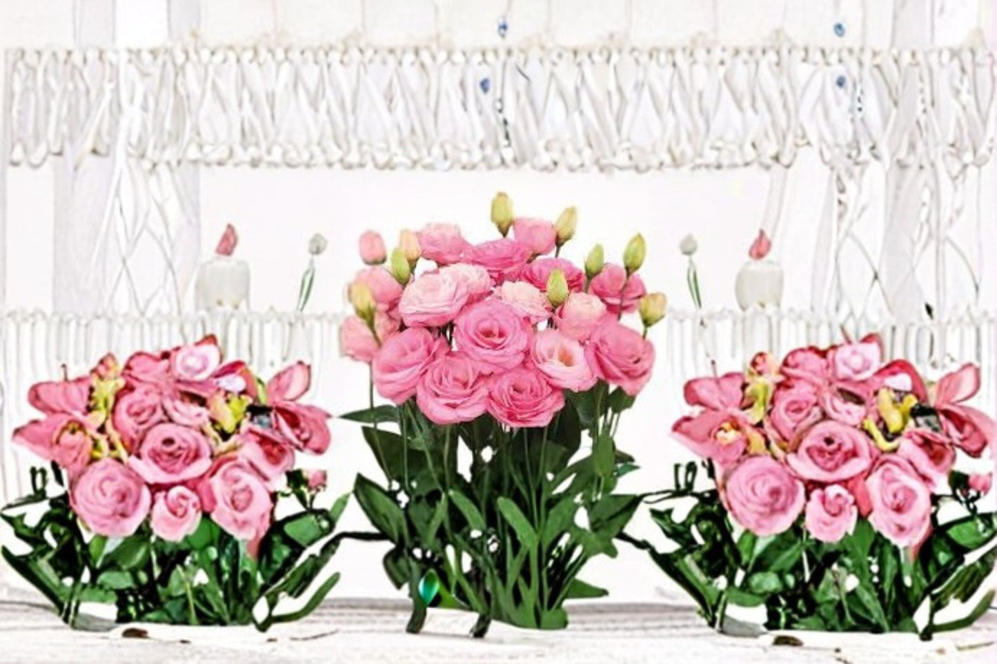 Lisianthus Plant - 1 Plant - Rosita Series - Eustoma grandiflorum - Rose-Like Blooms - Garden & Container Flower