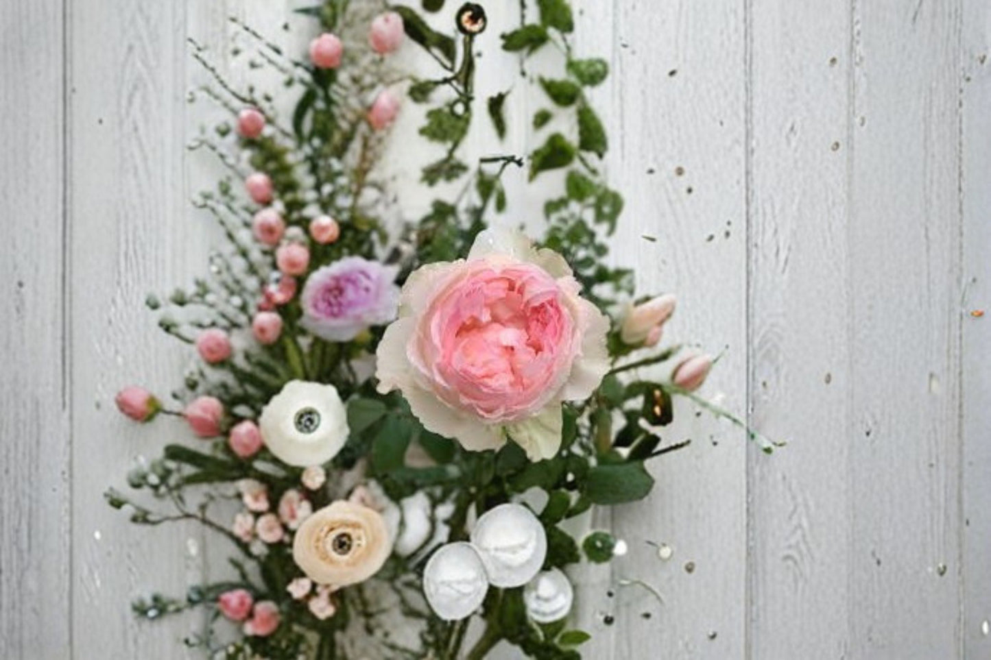 M-Perzik Rose Live Plant - Fragrant Pink Repeat Blooming Rose - Rosa hybrid - Ornamental Flowering Shrub for Gardens & Patios