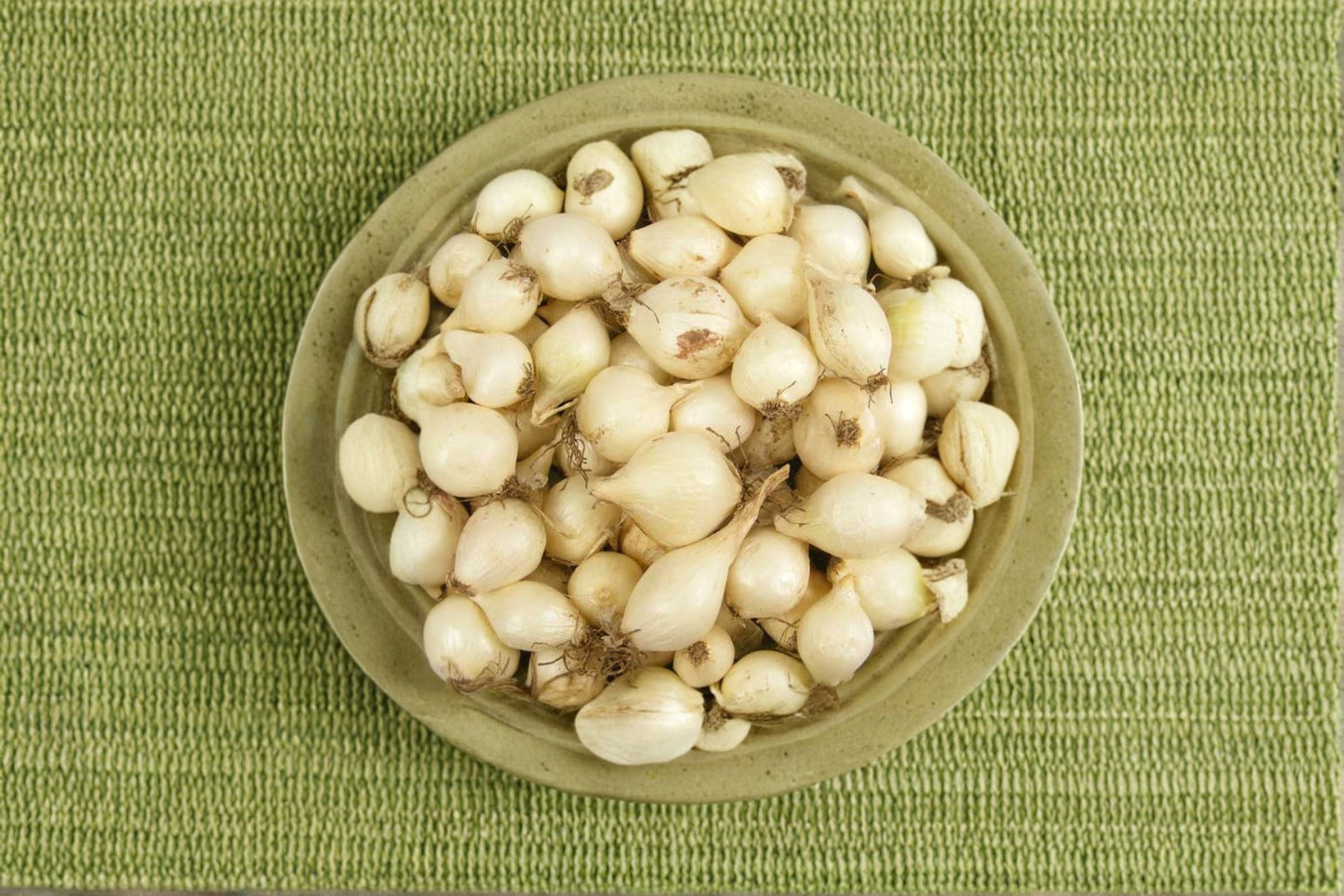 White Ebenezer Onion Sets 8 oz - Non-GMO Allium cepa Bulbs for Vegetable Garden, Raised Beds, and Edible Landscapes