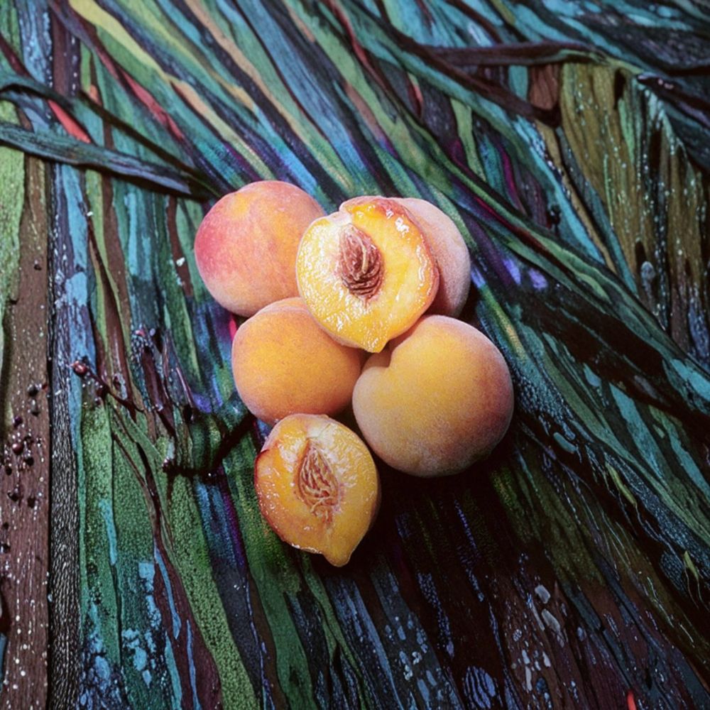 Grafted Reliance Peach Tree - Cold Hardy Freestone Peach - Prunus persica ‘Reliance’ - Ideal for Zones 4–8, Live Starter Plant