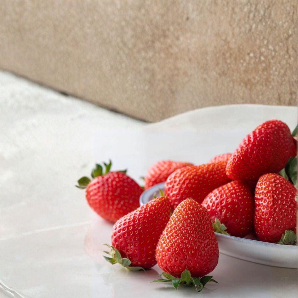 Kaorino Strawberry Plants - 5 Bare Root Live Plants - Fragaria × ananassa - Premium Sweet Japanese Variety - かおり野 イチゴ