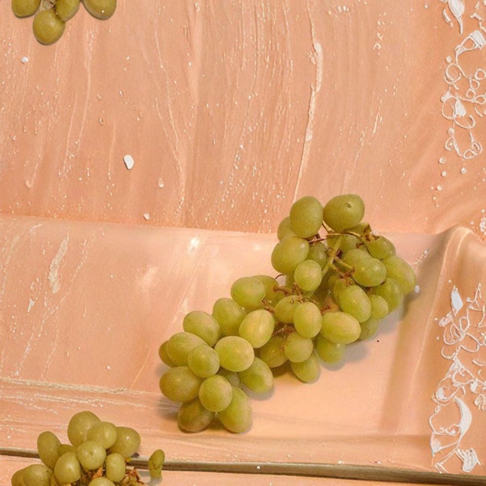 Chardonnay White Wine Grape Vine 3 Gallon | Self-Fertile Vitis vinifera | Premium Wine Variety | Easy to Grow Plant