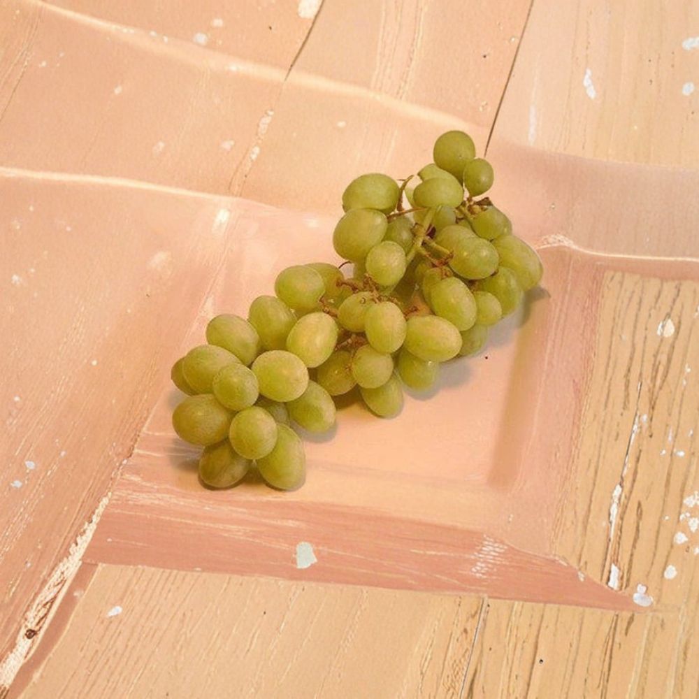 Chardonnay White Wine Grape Vine | 3 Gallon Live Plant | Self-Fertile Vitis vinifera | Easy to Grow Fruit Vine