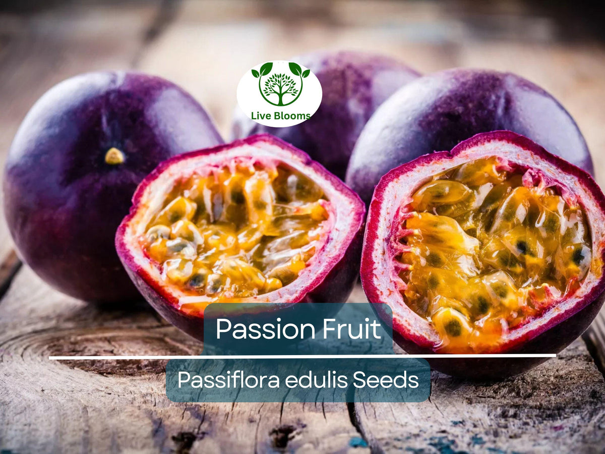 Purple Edulis Passion Fruit Seeds - 10 Pack | Passiflora edulis | Fast Growing, Edible Tropical Vine, Sweet Fruit