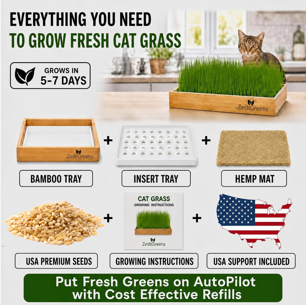 Self Watering Cat Grass Kit. The Easiest Way to Grow Cat Grass.