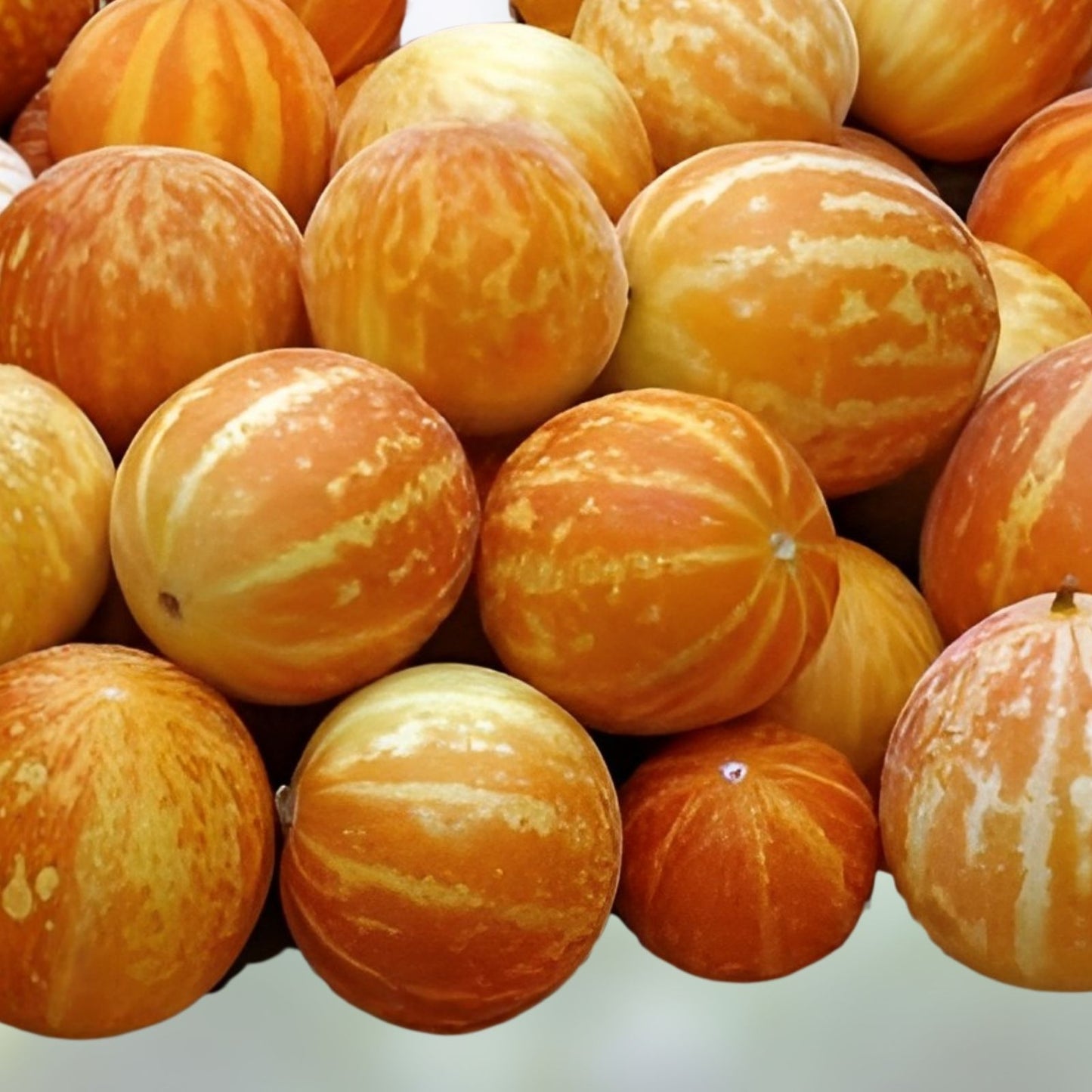 Pocket Melon Seeds for Planting - Edible Cucumis melo Melons - Pocket Size Variety - Made in USA