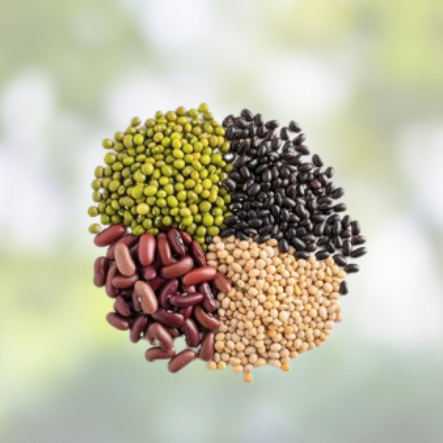 Bean Seed Bundle 400 Seeds – Soybeans, Mung Beans, Adzuki Beans, Black Soybean – High Germination Rate, Heirloom Varieties