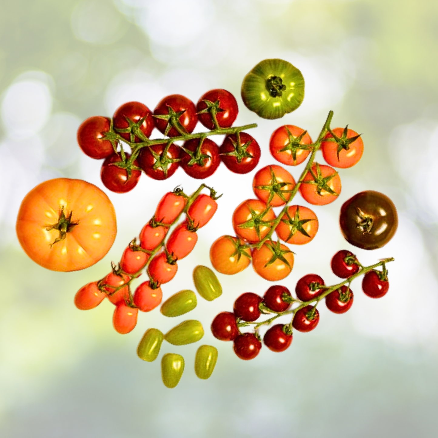 Landscaper's Pack Tomato Seeds - Ultimate Mix - 25+ Non-GMO Varieties - 250 Seeds - Heirloom and Hybrid Options