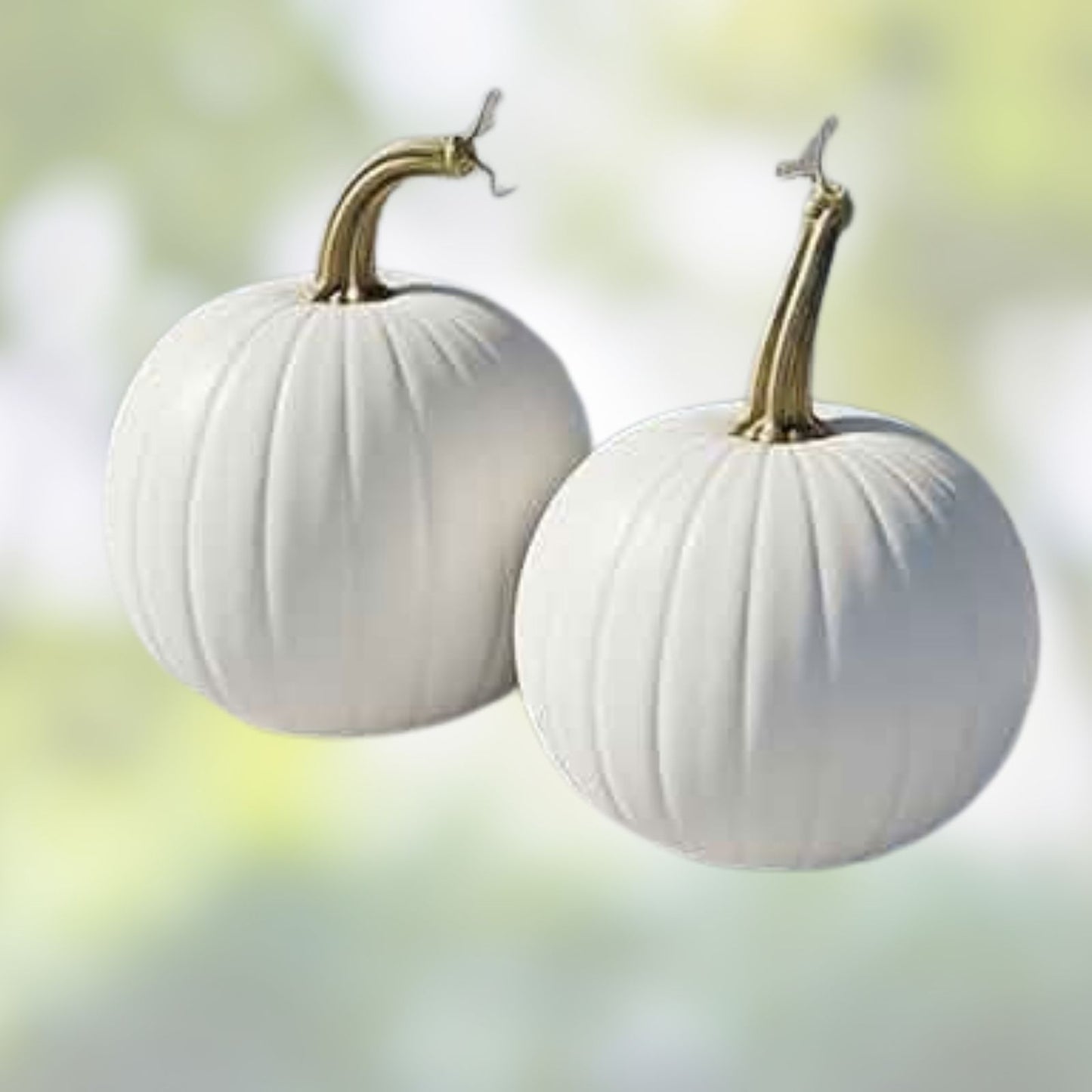 Giant Polar Bear Pumpkin Seeds - 10 Rare Seeds for Planting, Grow Up to 75 Pounds, Cucurbita pepo