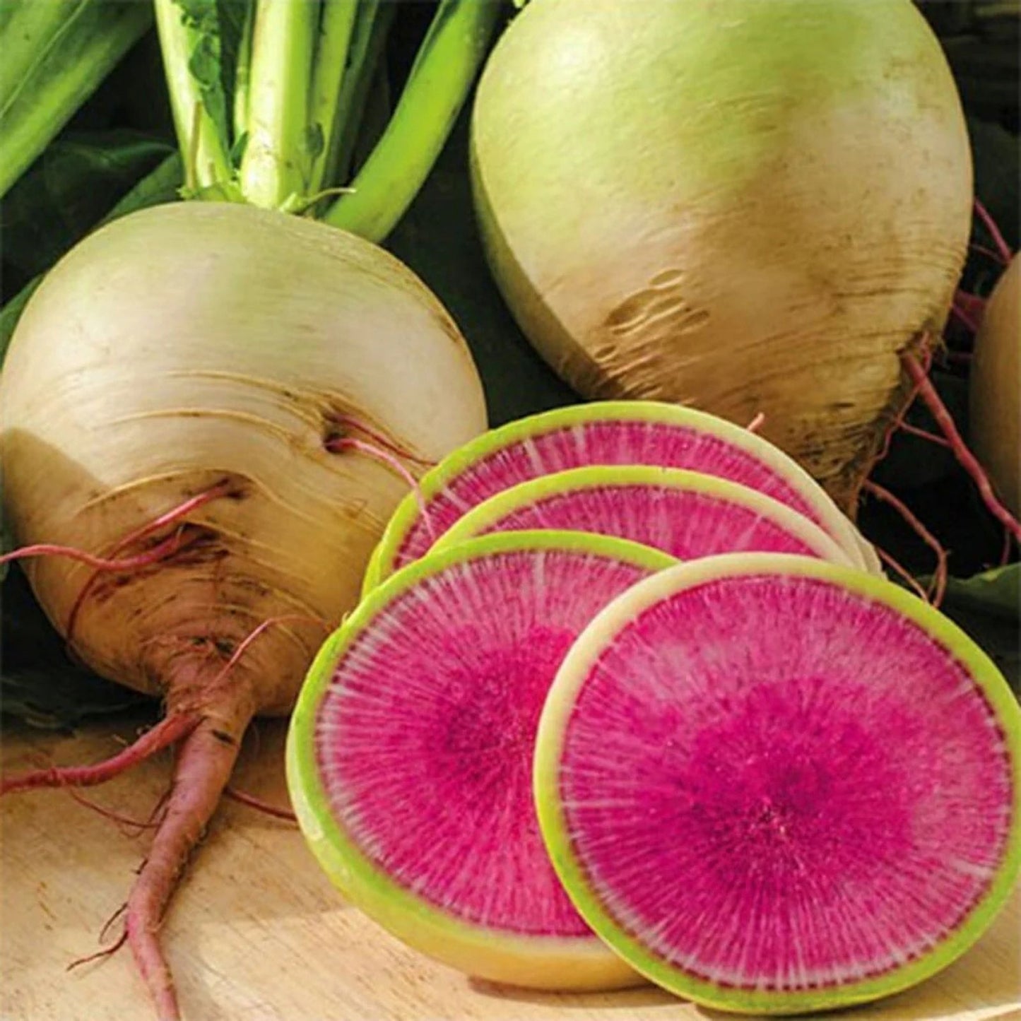 Watermelon Radish Seeds for Planting – 250+ Seeds – Exotic Vegetable – Raphanus sativus var. radicula