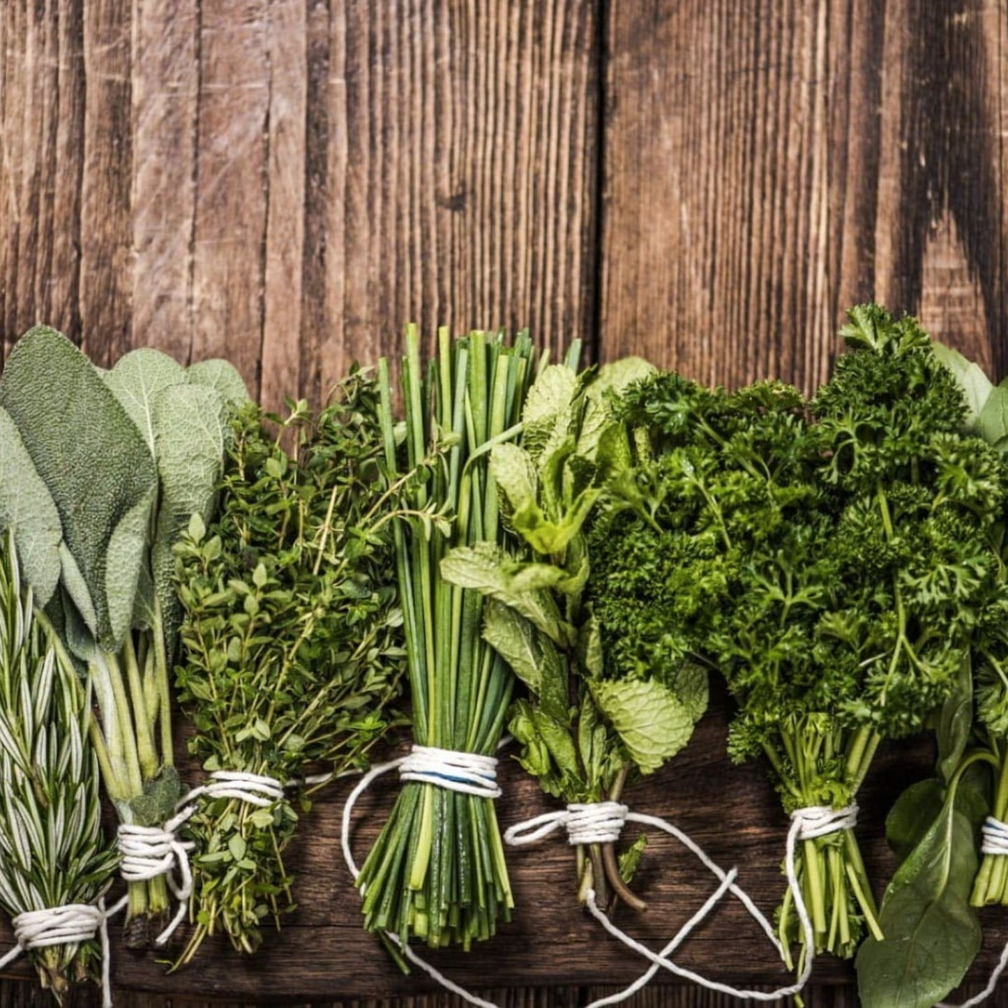 Herb Garden Kit 5 Pack Culinary Herbs Parsley Oregano Cilantro Dill Thyme | Kitchen Garden Set
