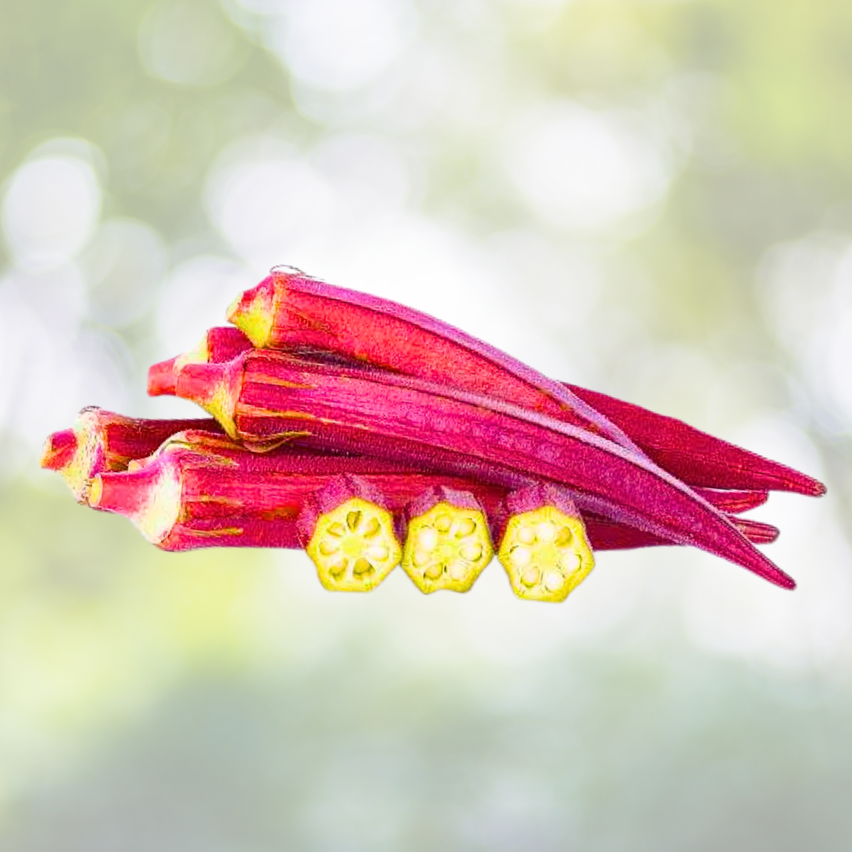 Bulk Okra Seeds Mix - Red Burgundy, Clemson Spineless, Jing Orange, Perkins - 150 Seeds - Organic Varieties