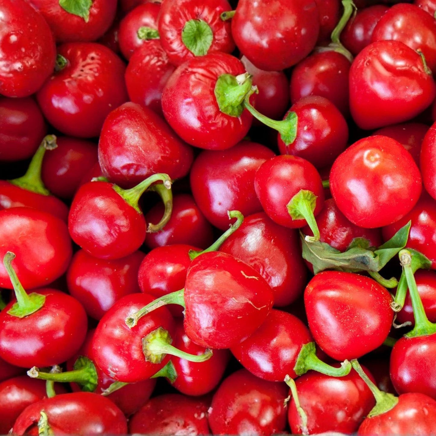 Red Sweet Cherry Pepper Seeds, Heirloom Non-GMO, 20+ Seeds, Capsicum annuum, Sweet Cherry Pepper Seed Pack