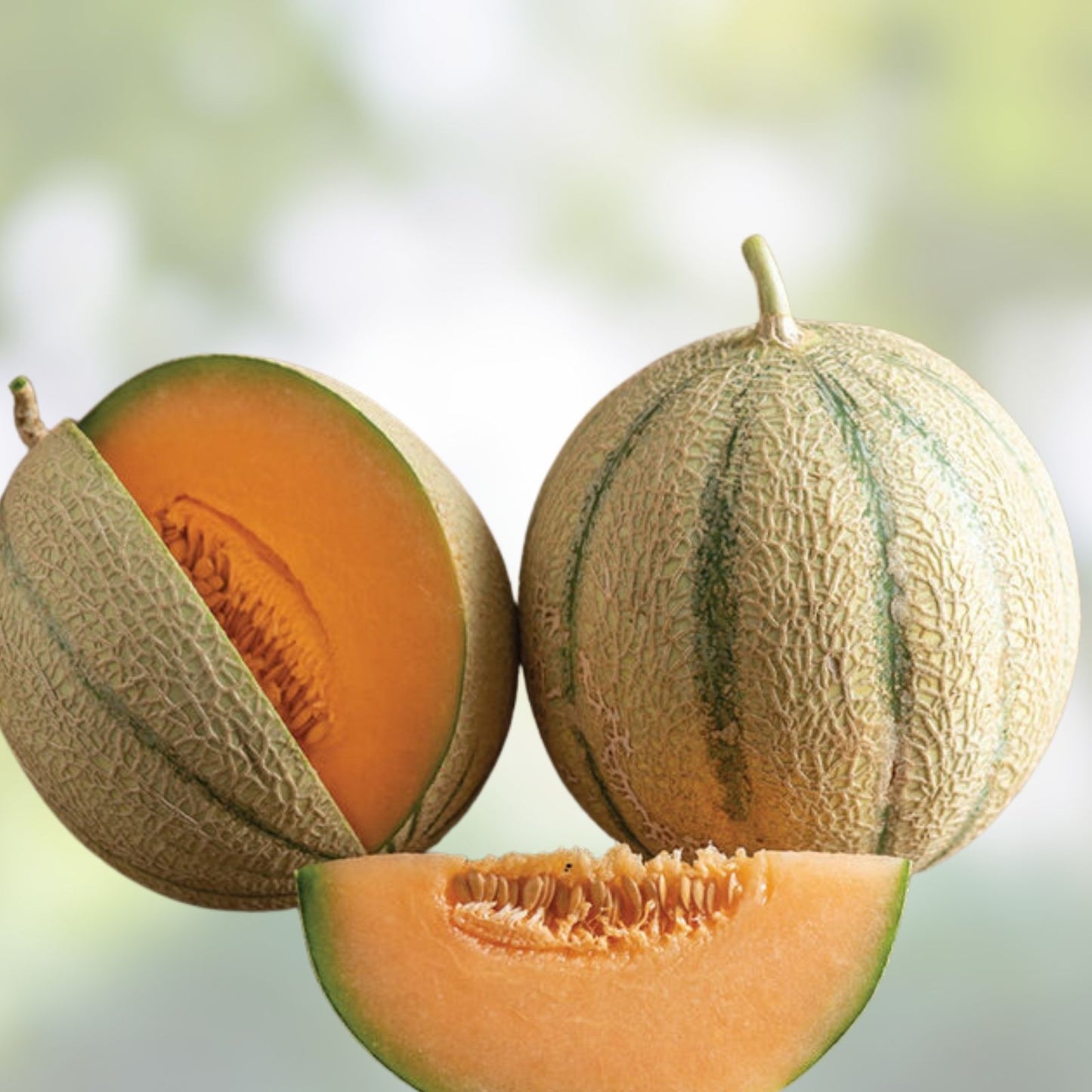 Cantaloupe Seeds for Planting - Melonade Variety - Cucumis melo - 10 Seeds, Sweet Melon, Organic Gardening, Fruit Seeds