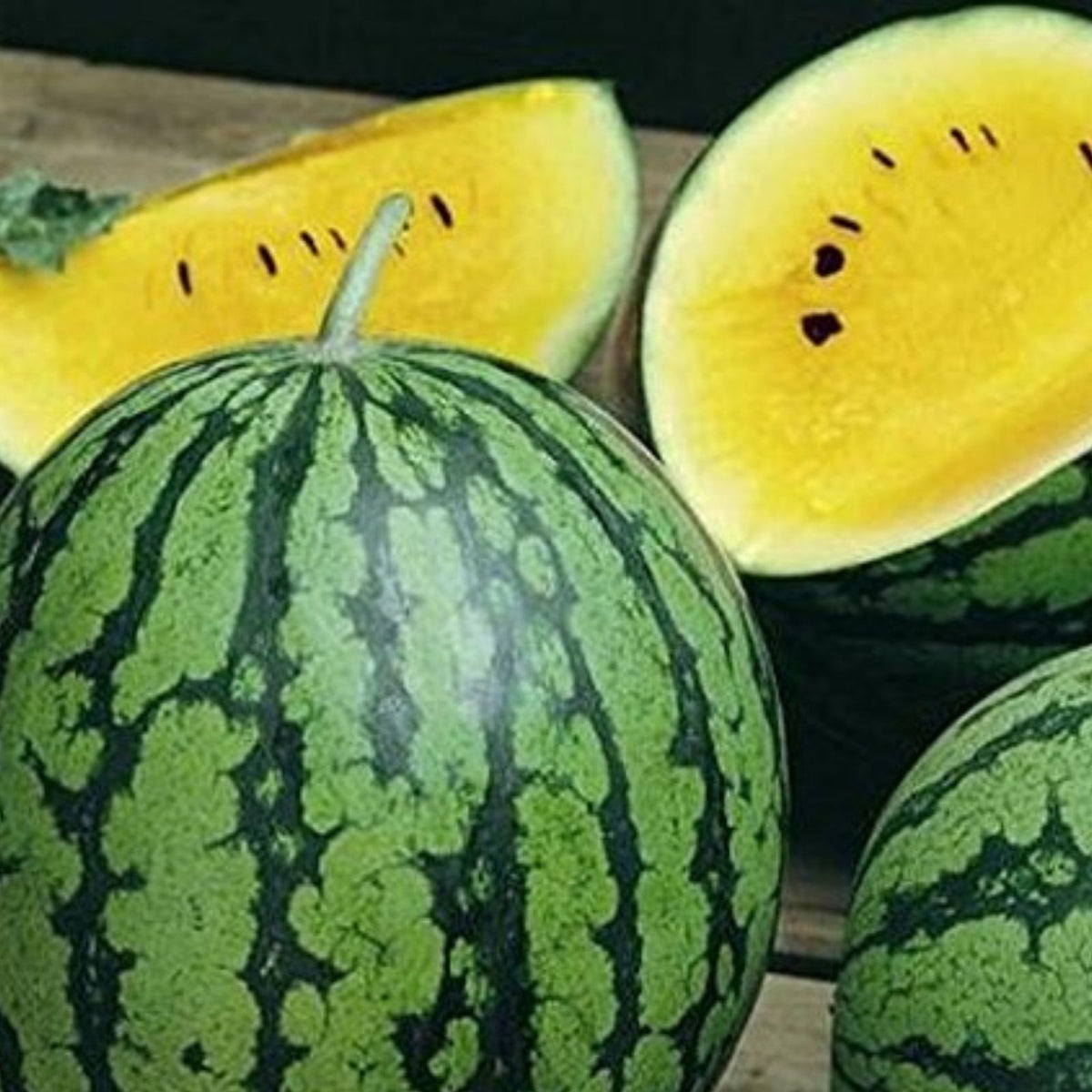 Dwarf Yellow Watermelon Seeds 25 Pack Petite Yellow Fruit Citrullus lanatus Garden Plant Seeds