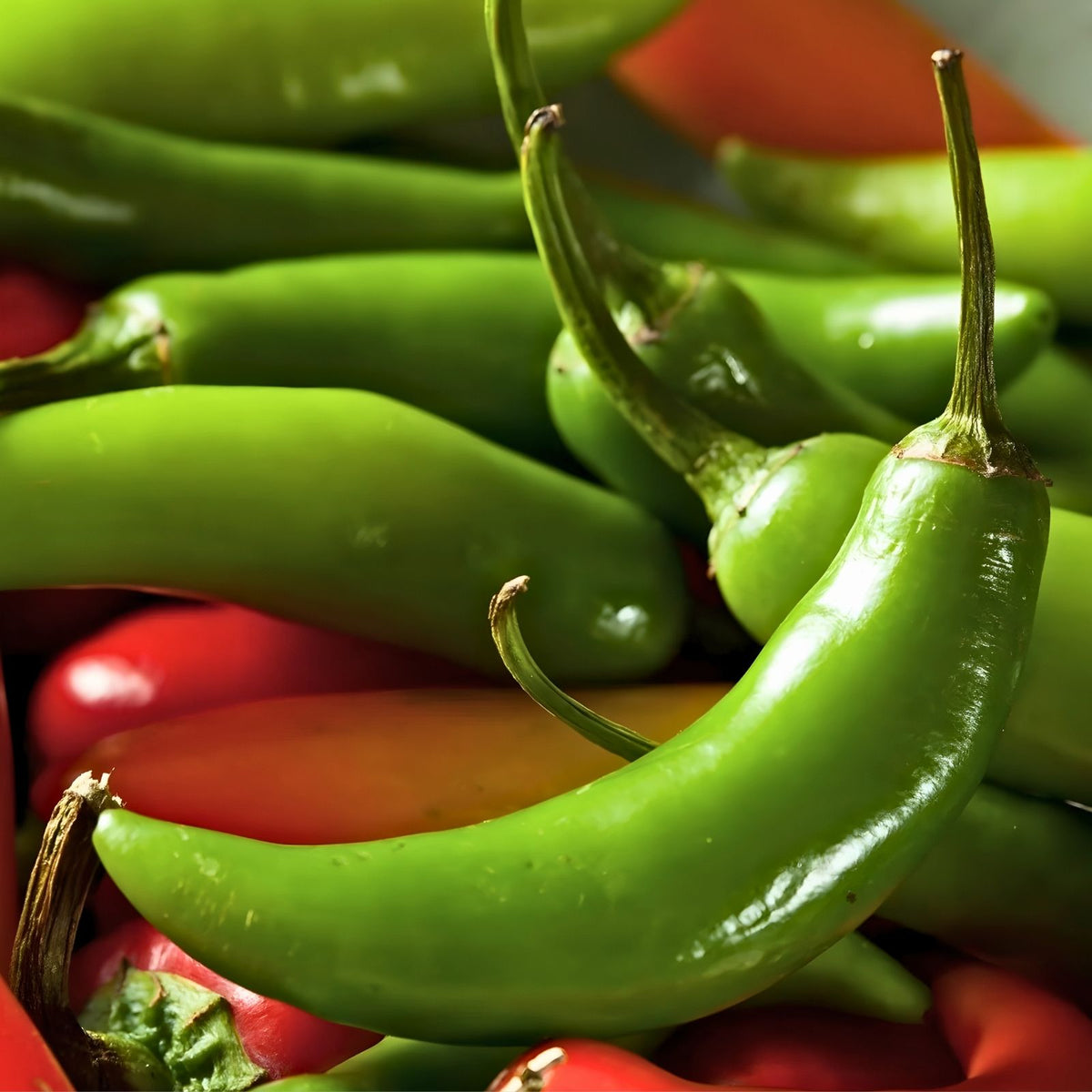 Heirloom Serrano Pepper Seeds – 100 Non-GMO Hot Chile Peppers – Capsicum annuum, Spicy Vegetable Seeds