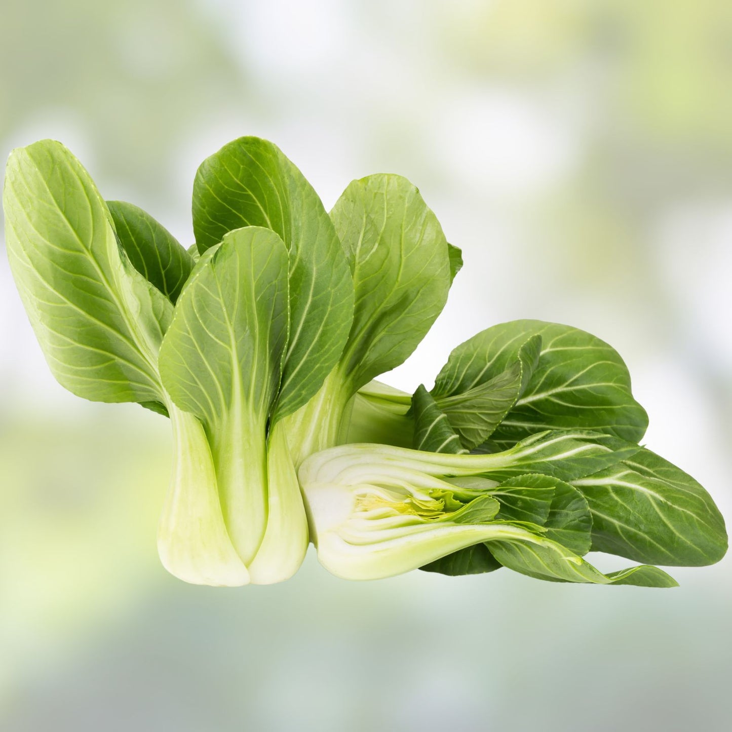Bok Choy Seeds for Planting - Heirloom Non-GMO Chinese Cabbage Pak Choi Vegetable Seed Pack