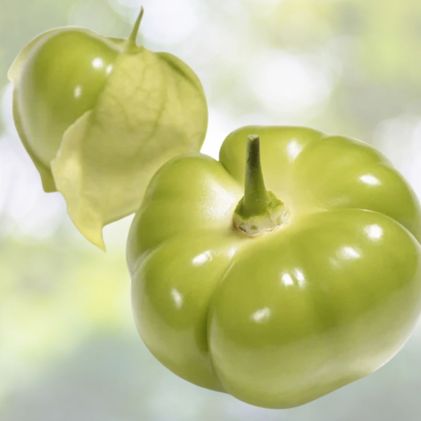 Organic Green Tomatillo Seeds - 50+ Pack for Salsa - Physalis ixocarpa - USA Grown