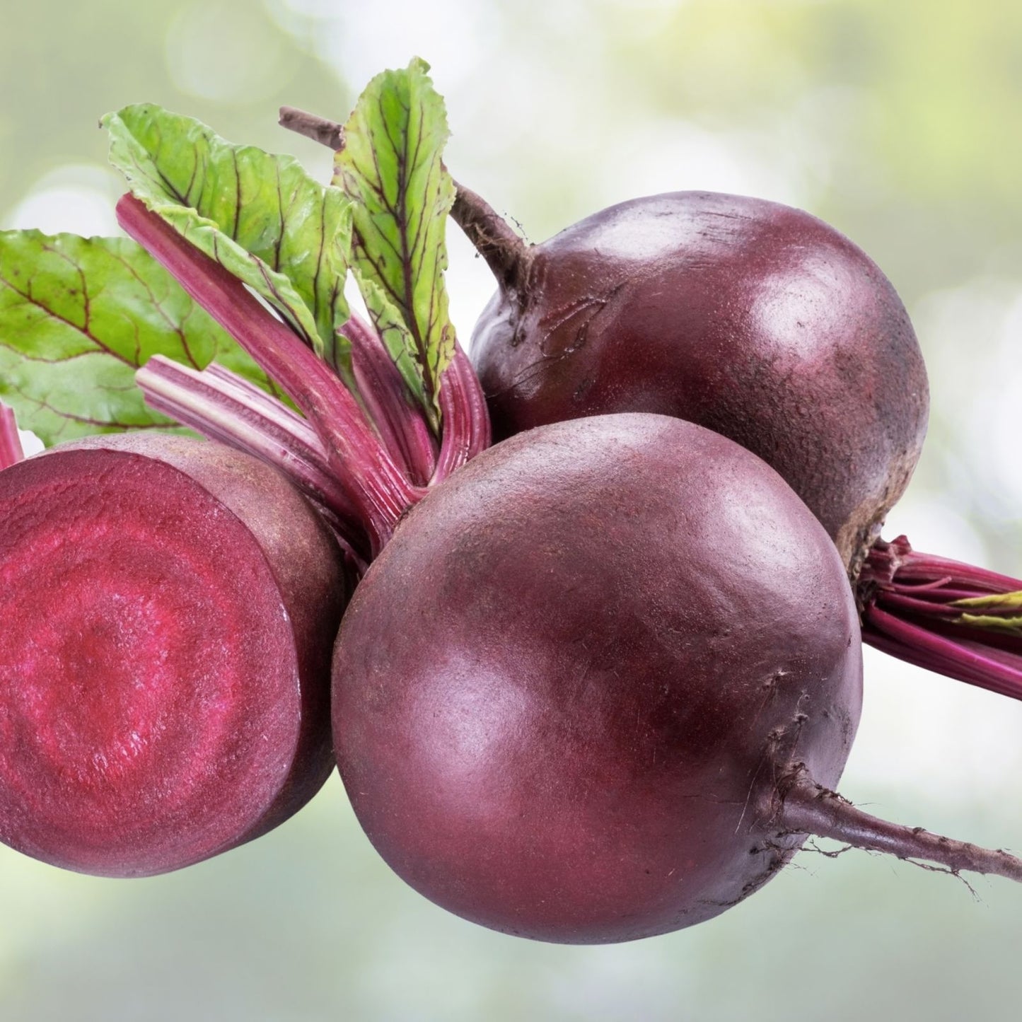 Ruby Queen Beet Seeds - 150 Count, Red Heirloom, Non-GMO, Beta vulgaris