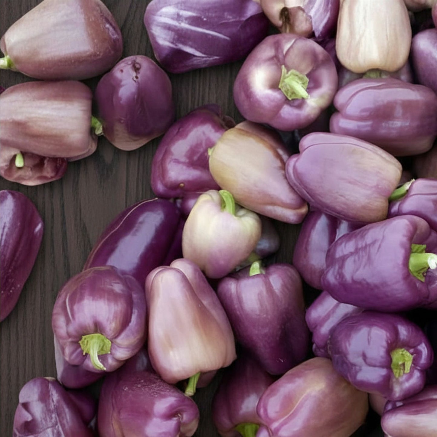 Purple Pepper Seeds 100+ Seeds, Edible Capsicum annuum for Cooking and Seasoning, Versatile Culinary Pepper