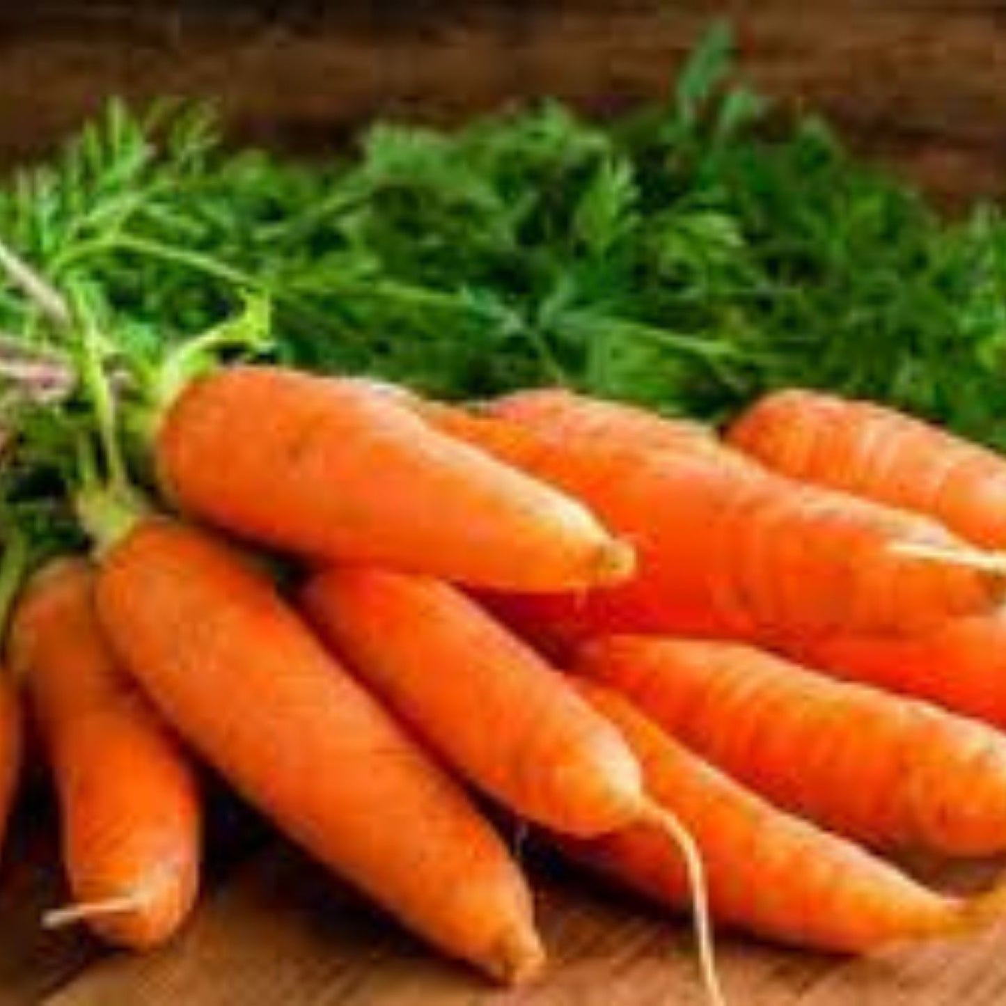 Carrot Seeds 50 Pack Non-GMO Heirloom Daucus carota Vegetable Garden Seeds for Planting