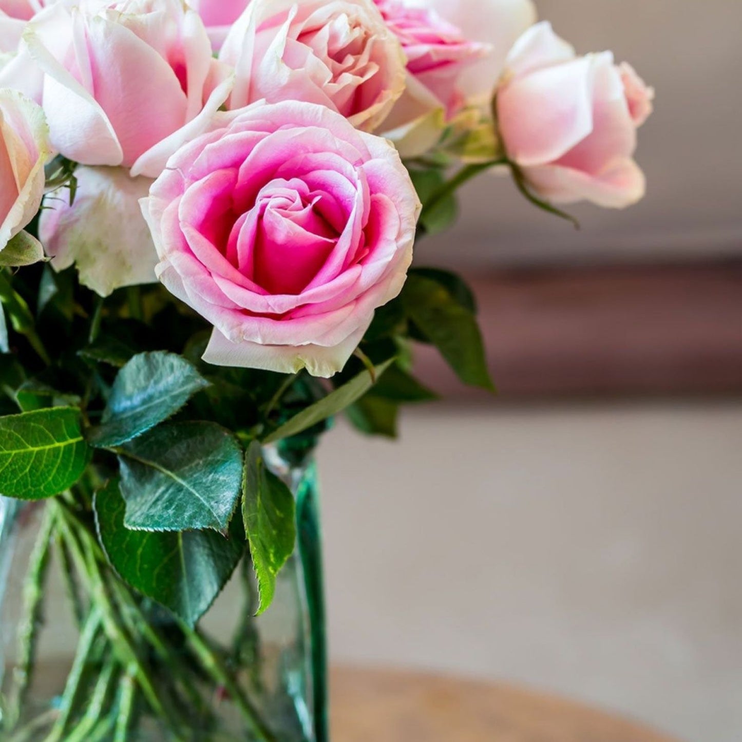 Wedding Rose Cuttings - 3 Fresh Con Stan Rose Stems for Floral Arrangements and Bouquets - Rosa Hybrid