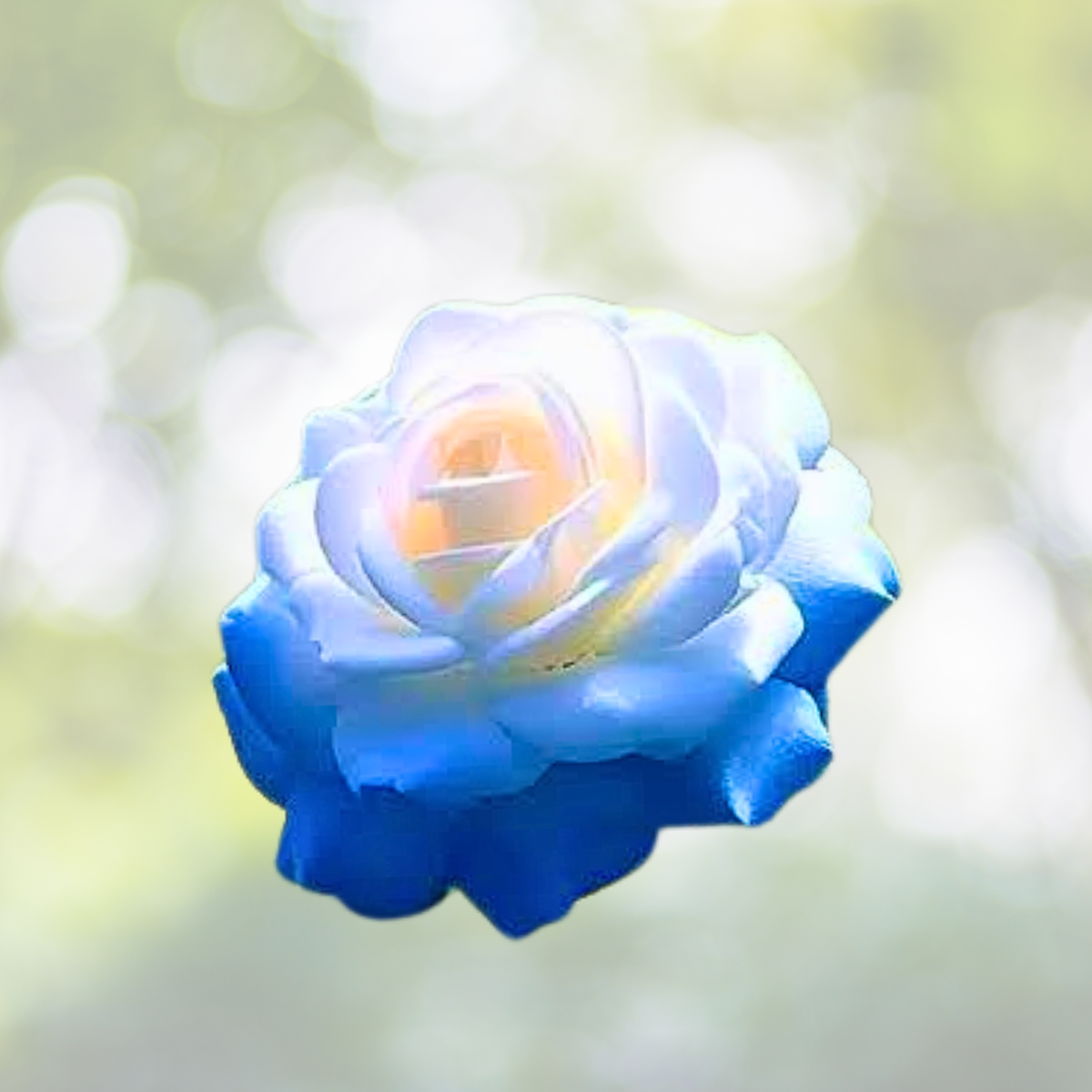 20pcs Blue Rose Seeds - Broken Ice Variety - Non-GMO Heirloom - Perfect for Gardens, Landscaping, and Floral Arrangements