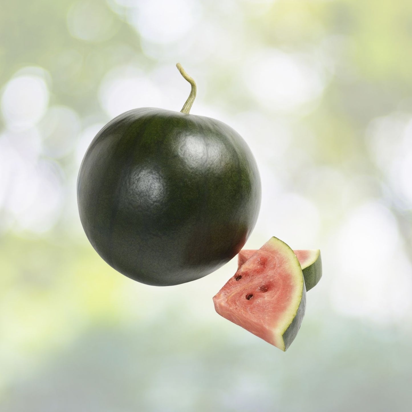 Black Diamond Watermelon Seeds - 20+ Seeds - Heirloom Variety (Citrullus lanatus) - Large Fruits 30-50 lbs, USA Grown