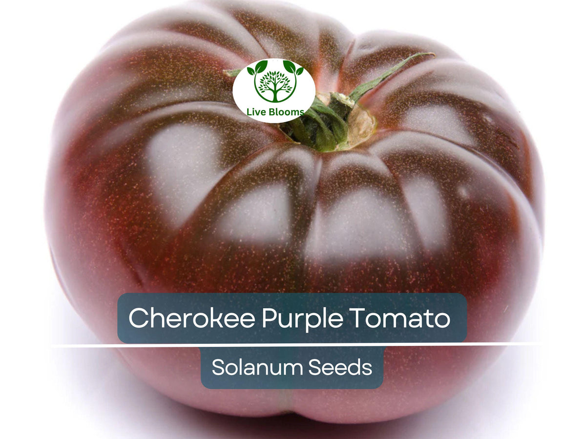 Cherokee Purple Tomato Seeds - 60 Heirloom Non-GMO Seeds, Solanum lycopersicum, Indeterminate Beefsteak Variety, Rich Flavor