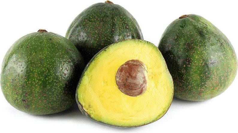 Nabal Avocado Tree - Grafted 2 to 3 Feet - Persea americana - 3 Gallon Pot - Compact Fruit Tree for Home Garden