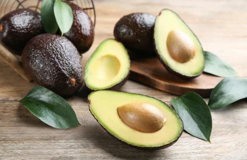 Super Hass Avocado Tree - Grafted 3 Gallon Pot - Oh La La Variety - Cold Tolerant - Persea americana