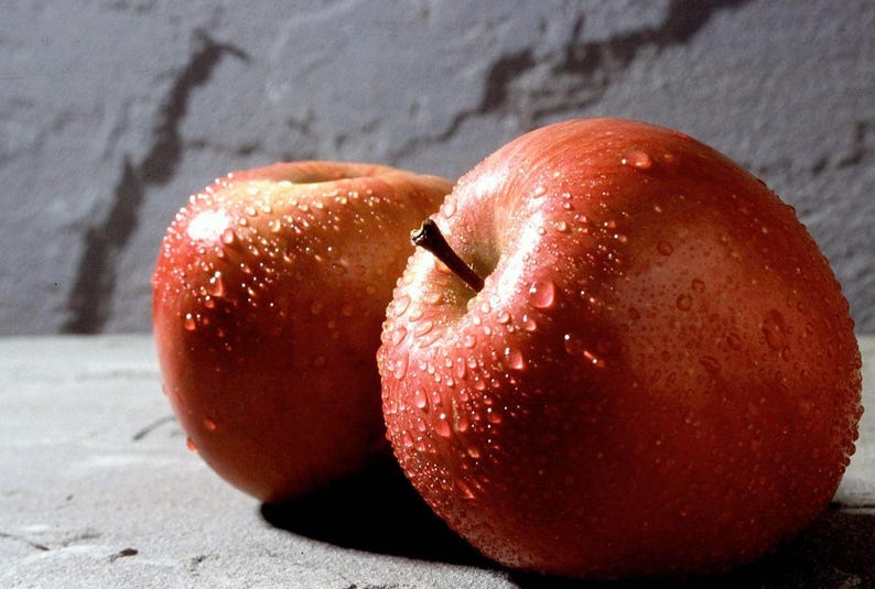 Fuji Apple Tree - 3 Gallon Pot - Low Chill Variety - Malus domestica - Sweet & Crisp Apples - Ideal for USDA Zones 4-9