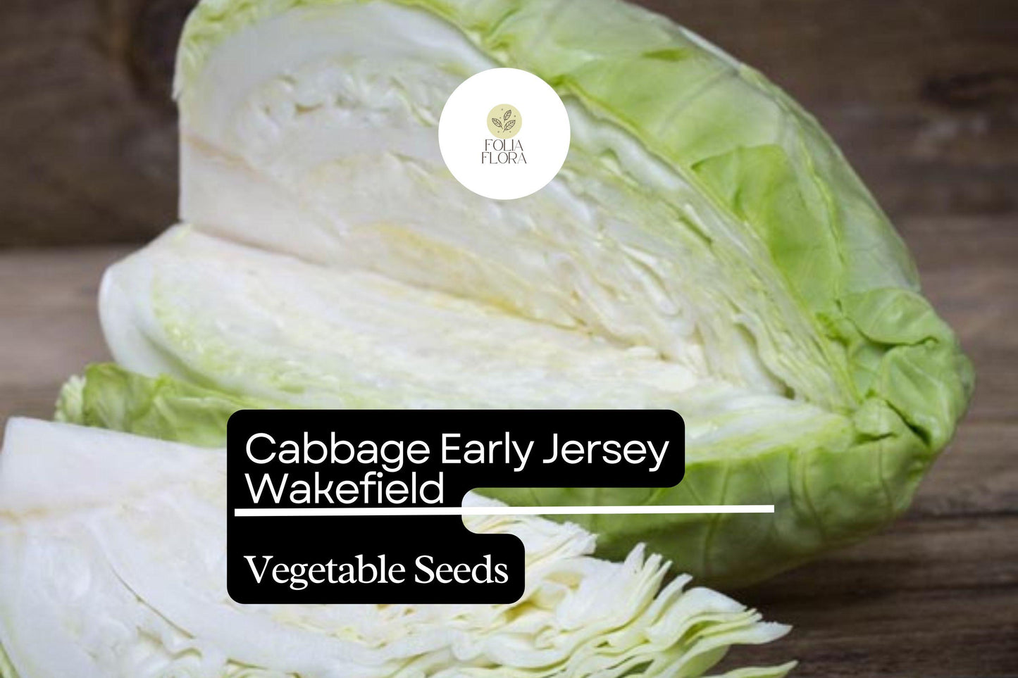 Cabbage Seeds 1g Packet Early Jersey Wakefield Heirloom Sweet & Crisp Brassica oleracea var. capitata Non-GMO
