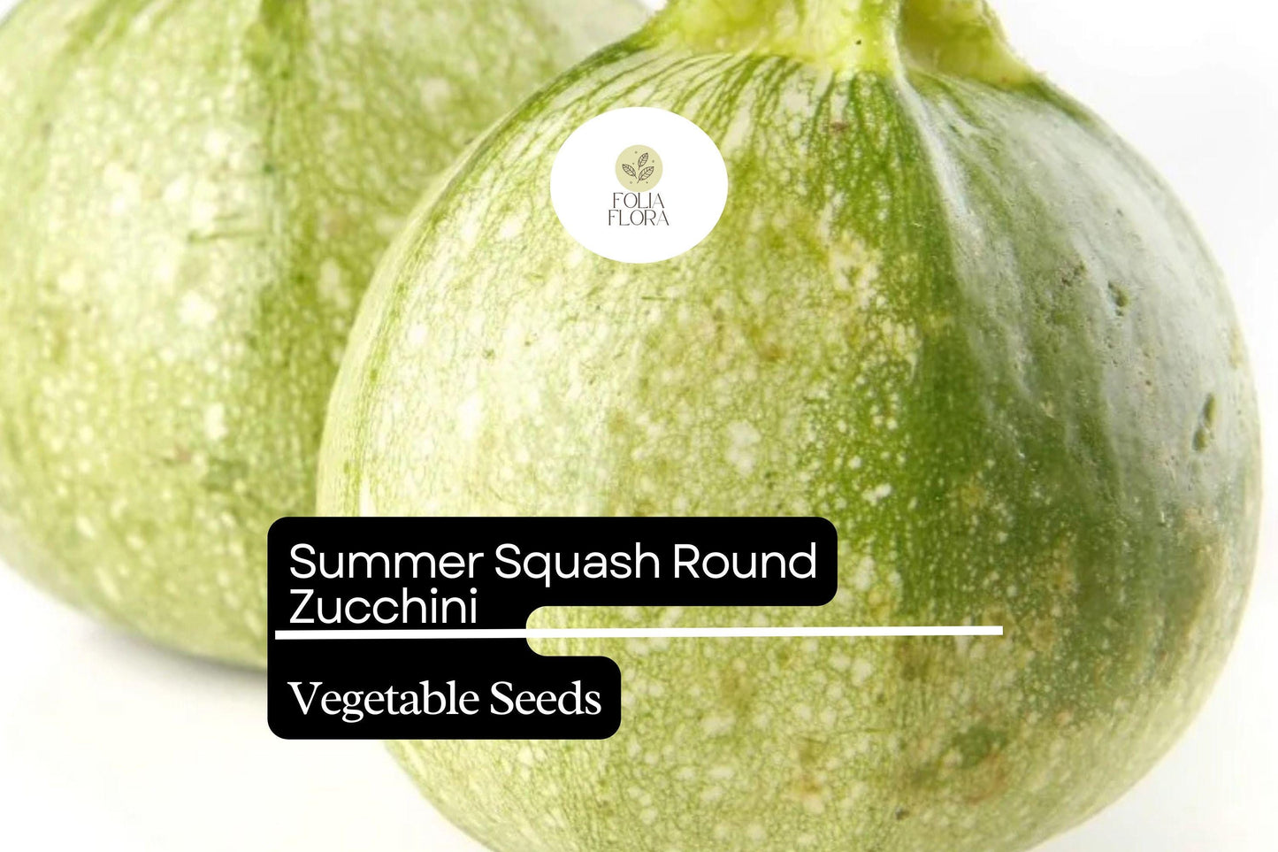 Round Zucchini Seeds | 1g Non-GMO Summer Squash | Compact Bush Type | Cucurbita pepo | Easy to Grow, High Yield